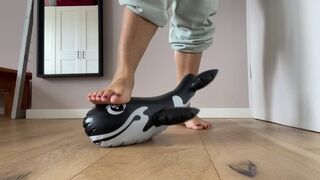 Trampling on shark till it leaked