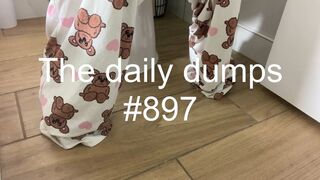 The daily dumps #897 mp4