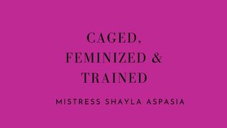 Caged Feminized and Trained