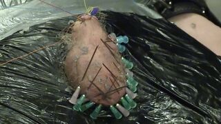 cbt piercings submissive slave training femdom