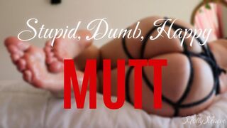 Stupid Mutt, Dumb Mutt, Happy Mutt