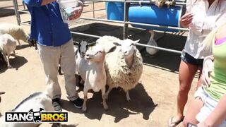 Sexy Pornstars Invade Famous Zoo & Fuck Zookeeper