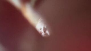 POV: Giantess Takes Her Tiny To A Meeting