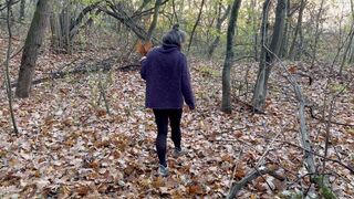 stuck in the woods aV