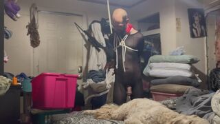 videocut 1