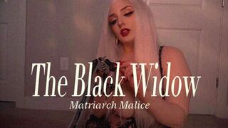 The Black Widow Bundle