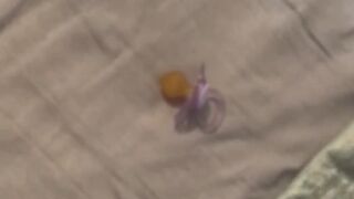 Posh Bitch Brat Girl Finds Your Pacifier Dummy !