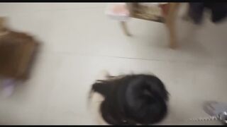 My dog slave