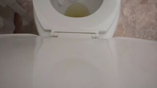 Whole days worth of peeing with farts and a quick soft dump