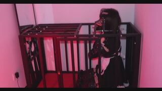 Transvestite Series:Flower Maid in the Iron Cage