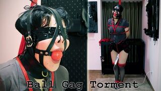 Ball Gag Torment