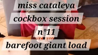 Miss cataleya cockbox session 11 barefoot giant load