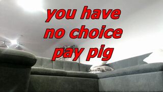 you have no choice pay pig