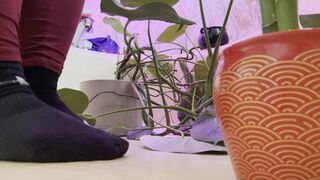 Tiny’s Bath: Warm Water and Wet Barefoot Care