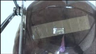 food and object crush - The Art of Destruction: MXDominion’s Sensual Booty Obliterates Trash, crush, ass worship, femdom  1080