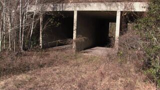 Fayth Under The Bridge Giddy Loon Popping w Loud Long Echoes -Mp4