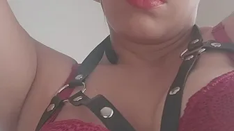 Creadora Premium