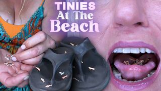 Tinies at the Beach (HD WMV)
