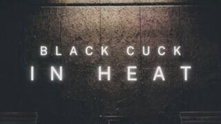 Black Cuck in Heat