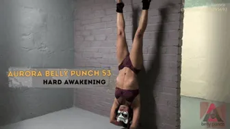 Belly Punch Aurora