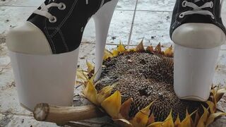 Sunflower chrush in 8 inch platform boots