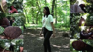 1703 Miley - A Walk into the Woods