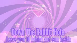 Down The Rabbit Hole