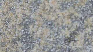 Video test