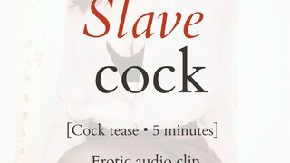Slave Cock
