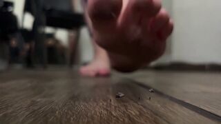 GIANTESS DULCE and the tiny pest