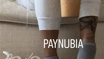 Paynubia