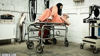 ASYLUM Part 1