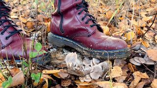 Docs Mushroom Crush