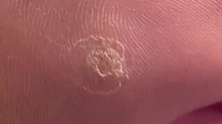 Littlebears solo soles