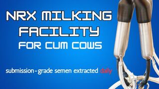 NRX Milking Facility - The Cum Farm