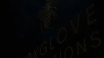 Firefly Productions