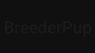 AUDIO ONLY: Orgasmic Bedroom Birthing