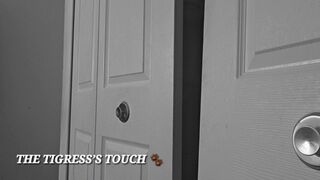 THE TIGRESS’S TOUCH