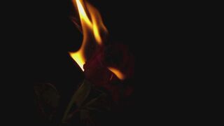 Surrender to the Lock: A Chastity Acceptance Audio for Obedient Subs