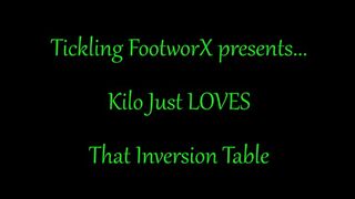 Kilo Just LOVES That Inversion Table