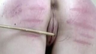 The Cane Clip One 320x240 wmv