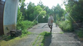 Woman Fucked in Vintage Car Part 1