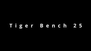 Tiger Bench 25