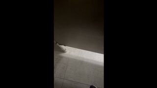 At work Public toilet mess