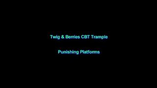 Punishing Platforms