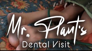 Mr Plant goes to the Dentist