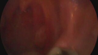 chewing up and spitting you out and playing with you inside my mouth