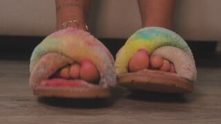 Slippers Teasing & Dangling with Rainbow Frenchie Pedicure.