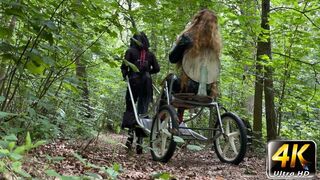 Ponyplay Cart Pulling 2 (4K)
