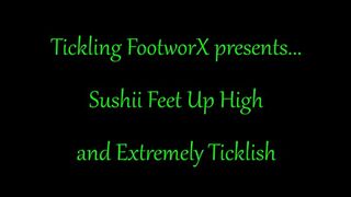 Sushii Feet Up High and Extremely Ticklish